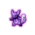 Shadow Wartortle